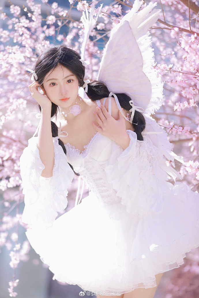 风骚律师